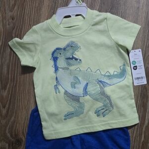 Dinosaur Graphic Tee and Shorts Set And USA Graphic Tee And Shorts